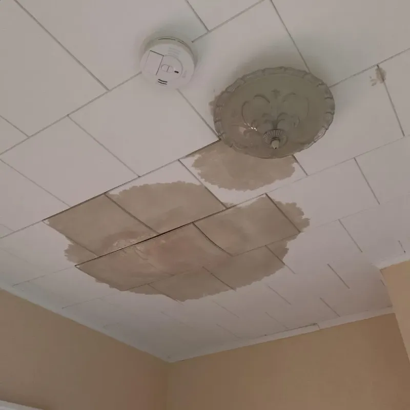 Ceiling Water Damage Repair in Mount Sinai, NY